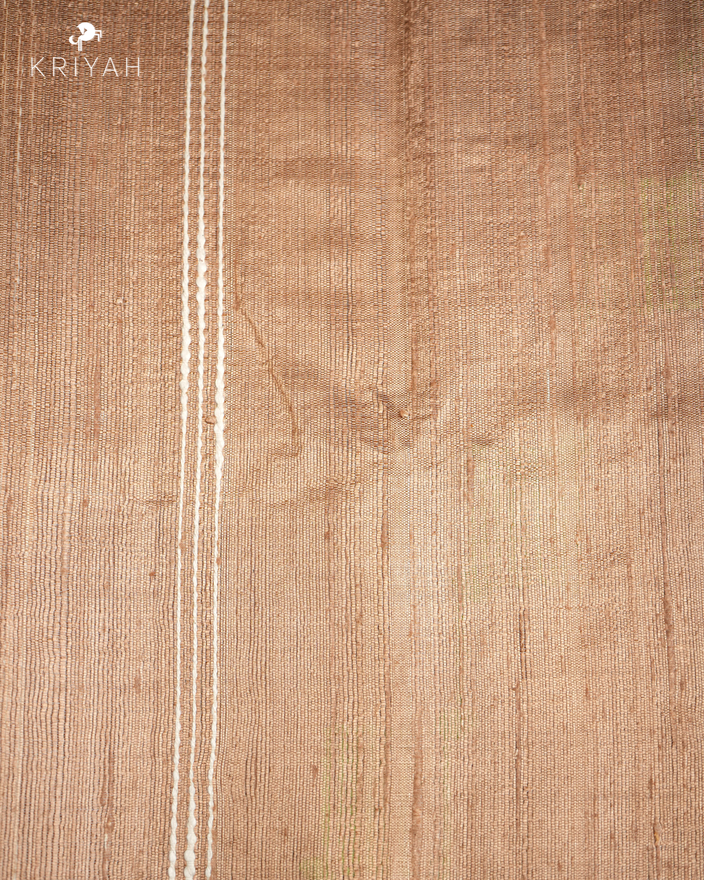 TUSSER SAREE WITH DENSE STRIPES & GOLD BORDER - GOLDEN BEIGE