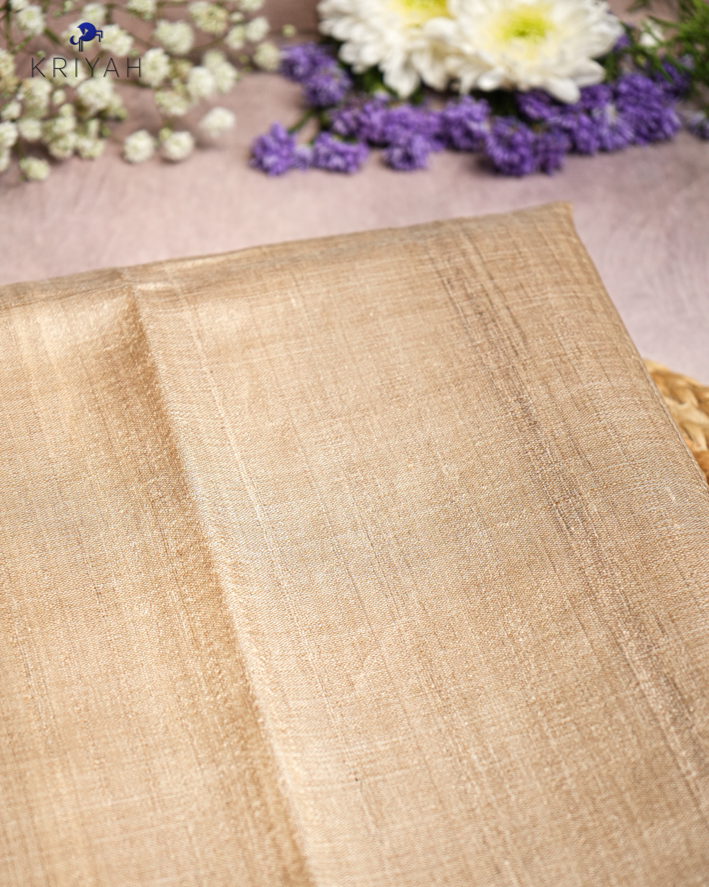 TUSSER SAREE WITH SPACED STRIPES & GOLD BORDER - SAND