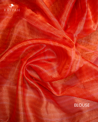 Tissue Organza Saree - Green