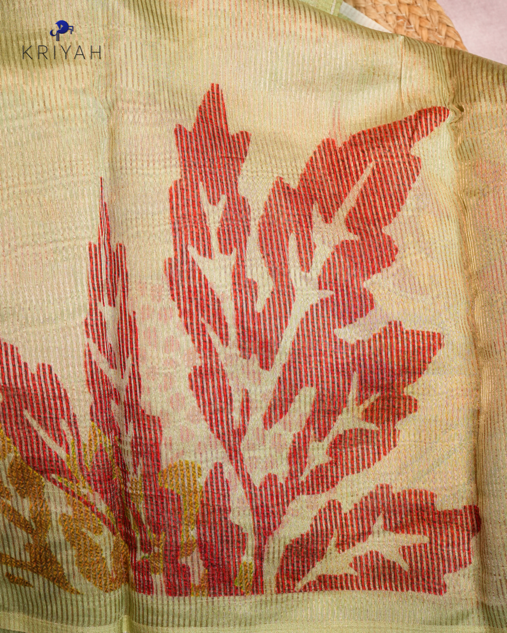 Tissue Organza Saree - Green