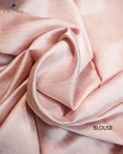 Embroidered Organza Saree - Light Pink